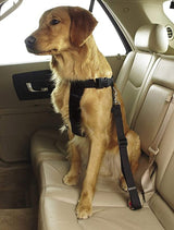 Adjustable Pet Safety Seat Belt for Dogs and Cats-Wiggleez-Black-Wiggleez