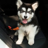 Adjustable Pet Safety Seat Belt for Dogs and Cats-Wiggleez-Black-Wiggleez