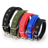 Adjustable Soft Pet Collars-Wiggleez-Black-S 1.5x45CM-Wiggleez
