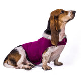 Anti Anxiety Dog Vest Jacket-Wiggleez-Blue-XS-Wiggleez