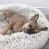 Anti Anxiety Warm Cozy Dog Calming Round Donut Bed-Wiggleez-White-M- 20 in-Wiggleez