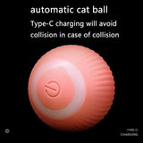 Automatic No Noise Rolling Smart Ball Cat Toy-Wiggleez-Smart Ball Pink-Wiggleez