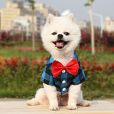 Bowtie Dog T-Shirts-Wiggleez-Blue-XS-Wiggleez