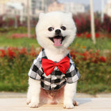 Bowtie Dog T-Shirts-Wiggleez-White-XS-Wiggleez