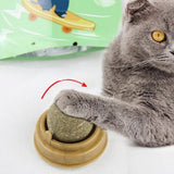 Catnip Cat Teeth Cleaning Mint Wall Stick-on Ball-Wiggleez-Green-Wiggleez