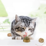 Catnip Cat Teeth Cleaning Mint Wall Stick-on Ball-Wiggleez-Green-Wiggleez