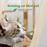 Catnip Cat Teeth Cleaning Mint Wall Stick-on Ball-Wiggleez-Green-Wiggleez