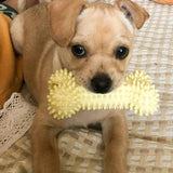 Chew Toy For Dogs-Wiggleez-1-Blue-Wiggleez