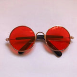 Cool Vintage Sunglasses Goggles for Cats and Dogs-Wiggleez-Black-M-Wiggleez