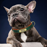 Customized Leather Engraved Soft Dog Collar-Wiggleez-Green-XS-Wiggleez