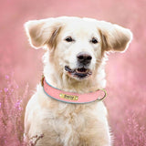 Customized Leather Engraved Soft Dog Collar-Wiggleez-Green-XS-Wiggleez