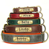 Customized Leather Engraved Soft Dog Collar-Wiggleez-Green-XS-Wiggleez
