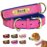 Customized Leather Engraved Soft Dog Collar-Wiggleez-Green-XS-Wiggleez