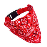 Dog Collar Bandana-Wiggleez-Green-S-Wiggleez