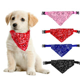 Dog Collar Bandana-Wiggleez-Green-S-Wiggleez