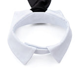 Dog Suit Tuxedo-Wiggleez-Black 1-S-Wiggleez