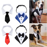 Dog Suit Tuxedo-Wiggleez-Black 1-S-Wiggleez