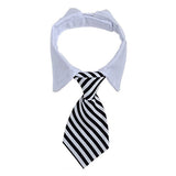 Dog Suit Tuxedo-Wiggleez-Black White-S-Wiggleez
