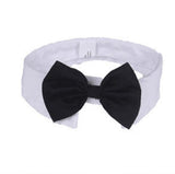 Dog Suit Tuxedo-Wiggleez-Bow Tie-S-Wiggleez