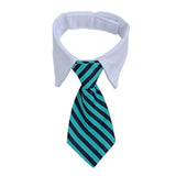 Dog Suit Tuxedo-Wiggleez-Green-S-Wiggleez
