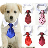 Dog Suit Tuxedo-Wiggleez-Black 1-S-Wiggleez