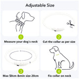 Led Light Dog Collar- USB Charging-Wiggleez-Red-Wiggleez