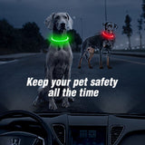 Led Light Dog Collar- USB Charging-Wiggleez-Red-Wiggleez