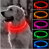 Led Light Dog Collar- USB Charging-Wiggleez-Red-Wiggleez