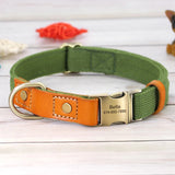 Nylon Customized Personalized Dog Collar Leash Name ID Tag-Wiggleez-Blue Collar-S-Wiggleez