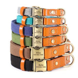 Nylon Customized Personalized Dog Collar Leash Name ID Tag-Wiggleez-Blue Collar-S-Wiggleez