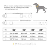 Nylon Customized Personalized Dog Collar Leash Name ID Tag-Wiggleez-Blue Collar-S-Wiggleez