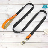 Nylon Customized Personalized Dog Collar Leash Name ID Tag-Wiggleez-Black Leash-S-Wiggleez