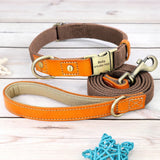 Nylon Customized Personalized Dog Collar Leash Name ID Tag-Wiggleez-Brown Set-S-Wiggleez