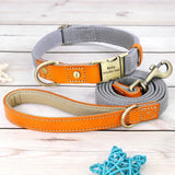 Nylon Customized Personalized Dog Collar Leash Name ID Tag-Wiggleez-Gray Set-S-Wiggleez