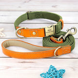 Nylon Customized Personalized Dog Collar Leash Name ID Tag-Wiggleez-Green Set-S-Wiggleez