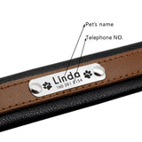Personalized Leather Pet Name ID Dog Collar-Wiggleez-Black-M-Wiggleez