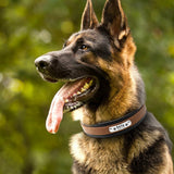 Personalized Leather Pet Name ID Dog Collar-Wiggleez-Black-M-Wiggleez