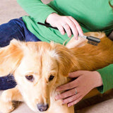 Pet Eye Comb Brush-Wiggleez-Black and Silver-Wiggleez