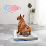 Portable Dog Training Toilet Indoor Pad Holder Tray-Wiggleez-Blue-47x34cm-Wiggleez