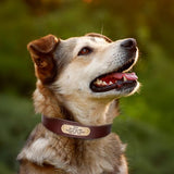Real Leather Personalized Engraved Dog Collar Tag Personalized-Wiggleez-Red-XL-Wiggleez