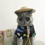Vintage Round Cat Sunglasses-Wiggleez-Silver Transparent-Wiggleez