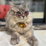 Vintage Round Cat Sunglasses-Wiggleez-Silver Transparent-Wiggleez