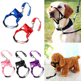 Nylon Adjustable Dog Muzzle Anti-barking Anti-bite Harness Head Collar Muzzle-Wiggleez-Purple-S-Wiggleez