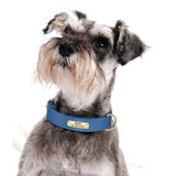 Personalized Engraved Leather Dog Soft Collar For Small Medium Large Dogs-Wiggleez-Brown-L-Wiggleez