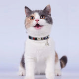 Personalized Nylon Quick Release Safety Breakaway Personalized Cat Collar-Wiggleez-048 Rose-20-30 cm-Wiggleez